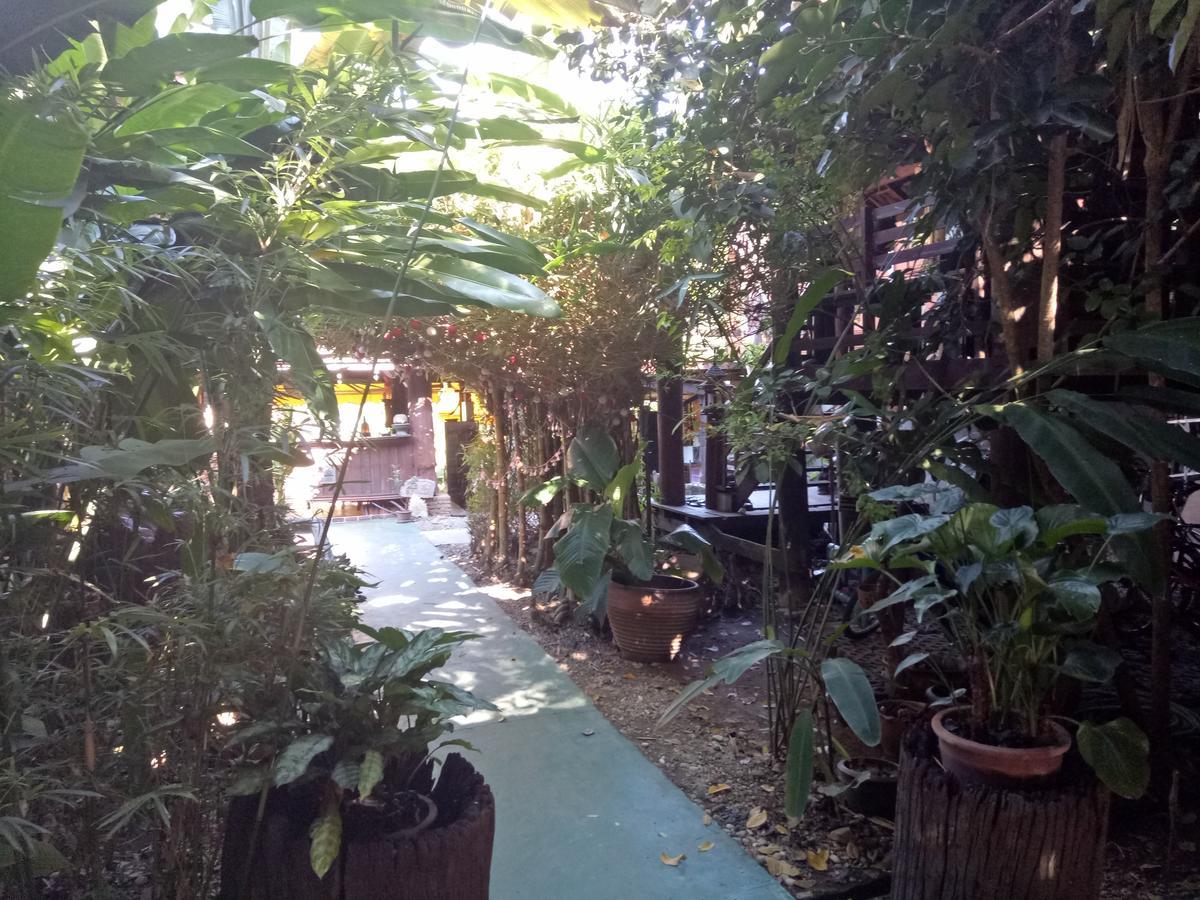 Tonnam Homestay Chiang Mai Exterior photo